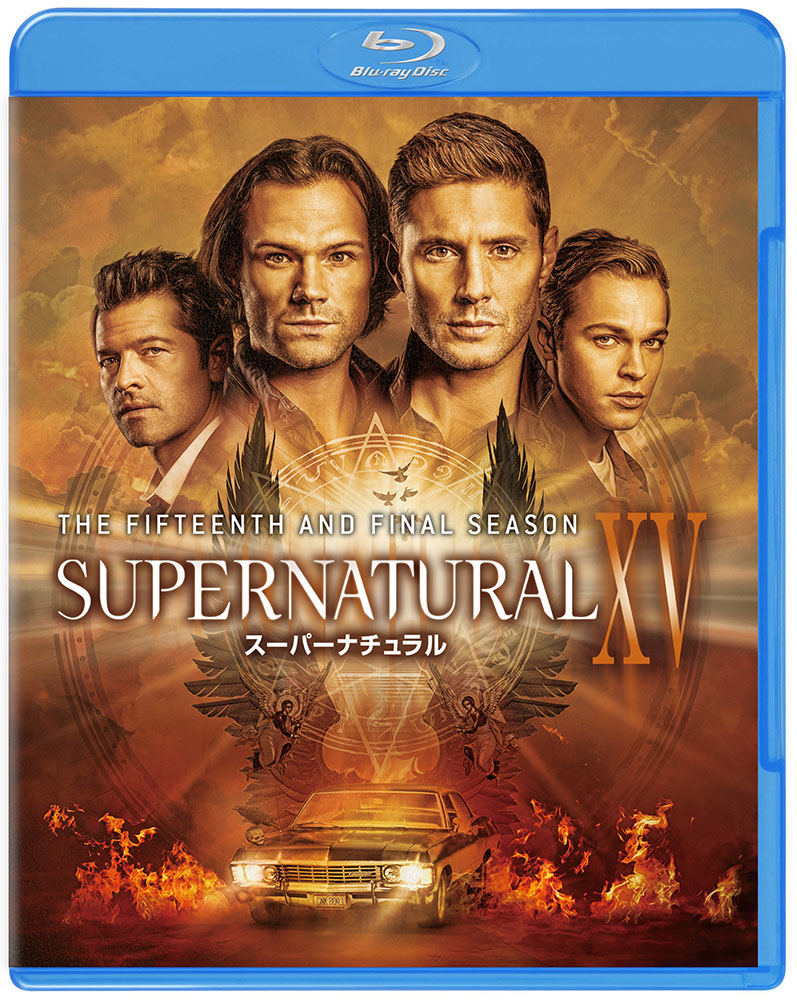 新製品情報も満載 SUPERNATURAL ⅩⅡ スーパーナチュラル DVD 11 12